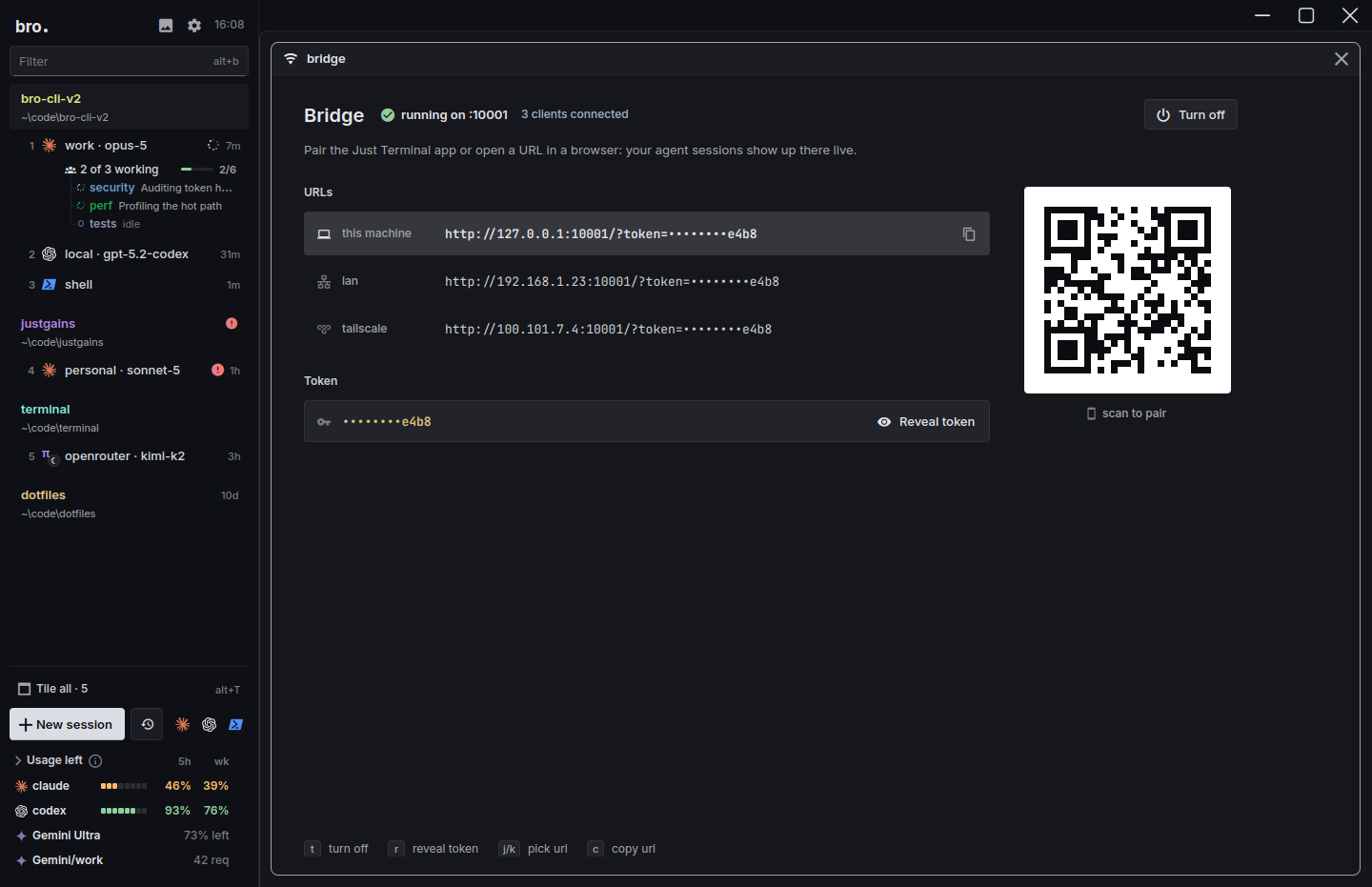 bro's bridge view with its URLs, a masked token and the pairing QR code